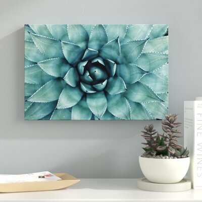 Turquoise Succulent - Wrapped Canvas Photograph Print - Image 0