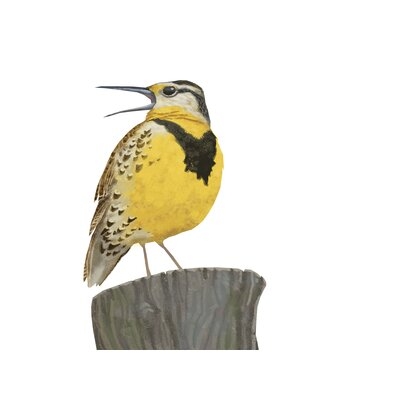 Eastern Meadowlark By Brad Sneed Canvas Wall Art - Image 0