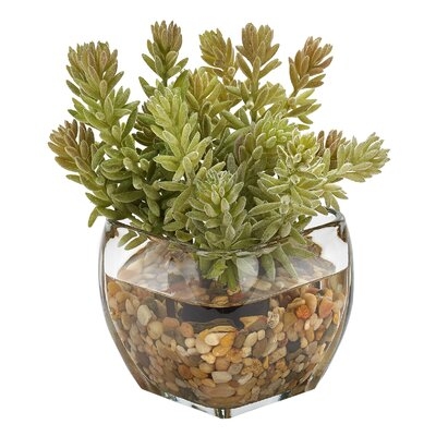 Flocked Mini Succulent In Glass Cube - Image 0