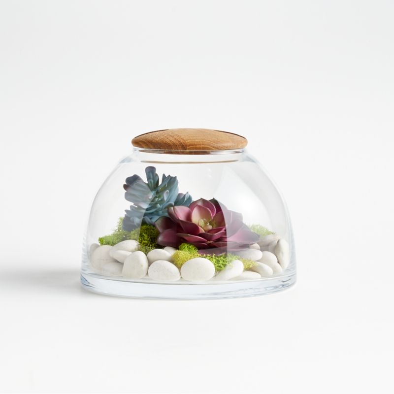 Large Glass Terrarium with Wood Lid - Image 2