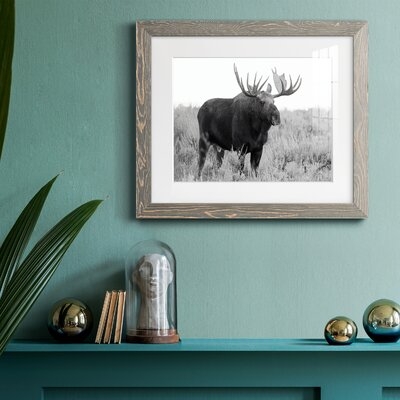 Grand Teton Bull Moose-Premium Framed Print - Ready To Hang - Image 0