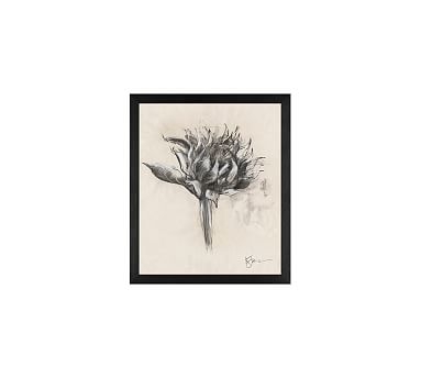 Charcoal Sunflower Sketch, Single Bloom, 11" x 13" Wood Gallery, Black, No Mat - Image 0