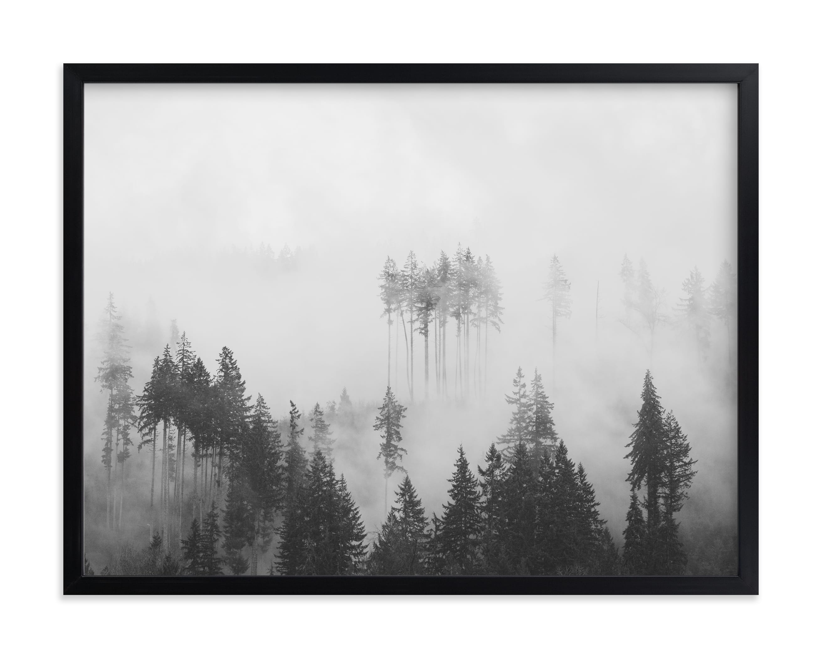 Morning Fog Limited Edition Fine Art Print 1 - Image 0