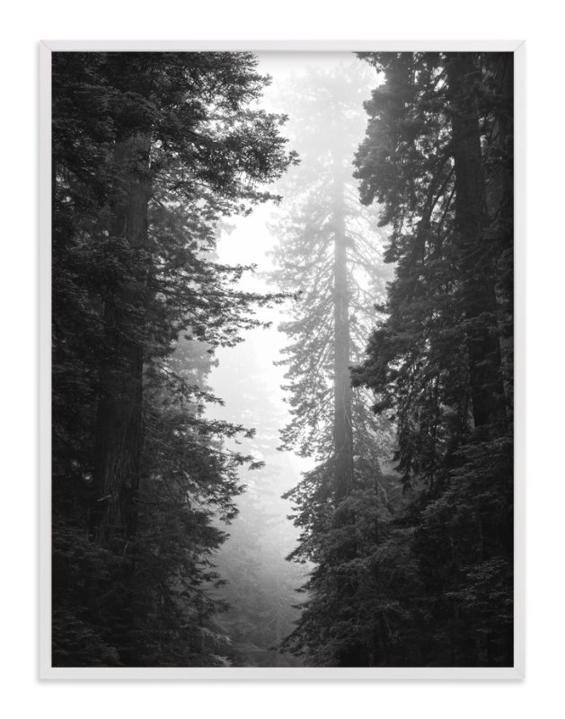 Redwood Morning Limited Edition Fine Art Print 1 - Image 0
