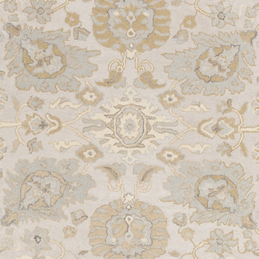 Castello Beige Indoor 9' x 13' Handmade Rug - Image 0