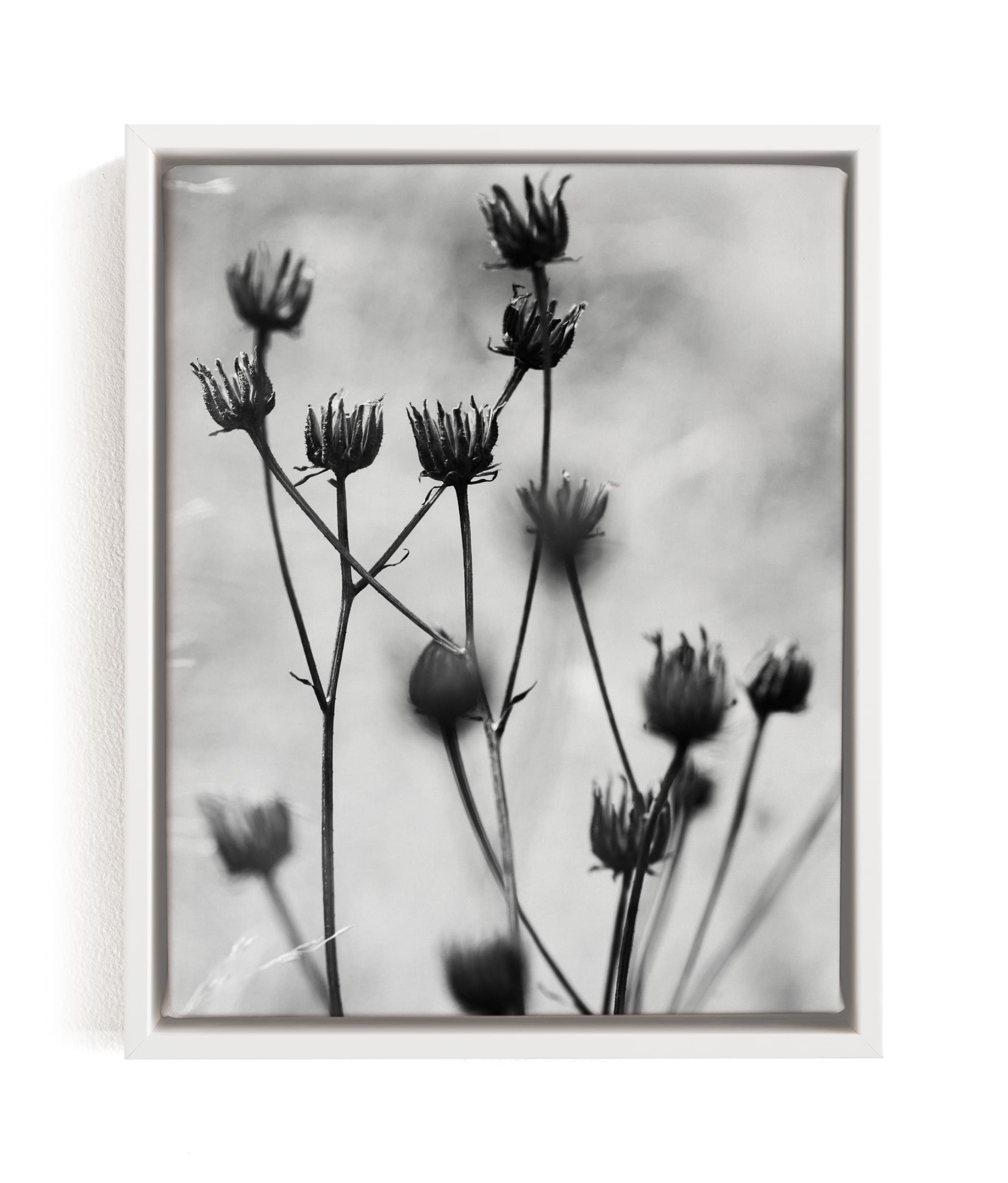 Autumn Detail Limited Edition Fine Art Print 1 - Image 0