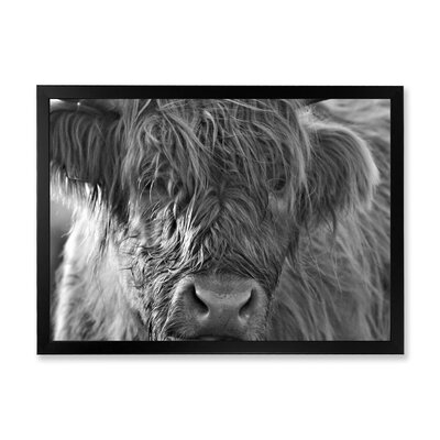 Scottish Highland Cows Living On Moorland - Farmhouse Canvas Wall Art Print - Image 0