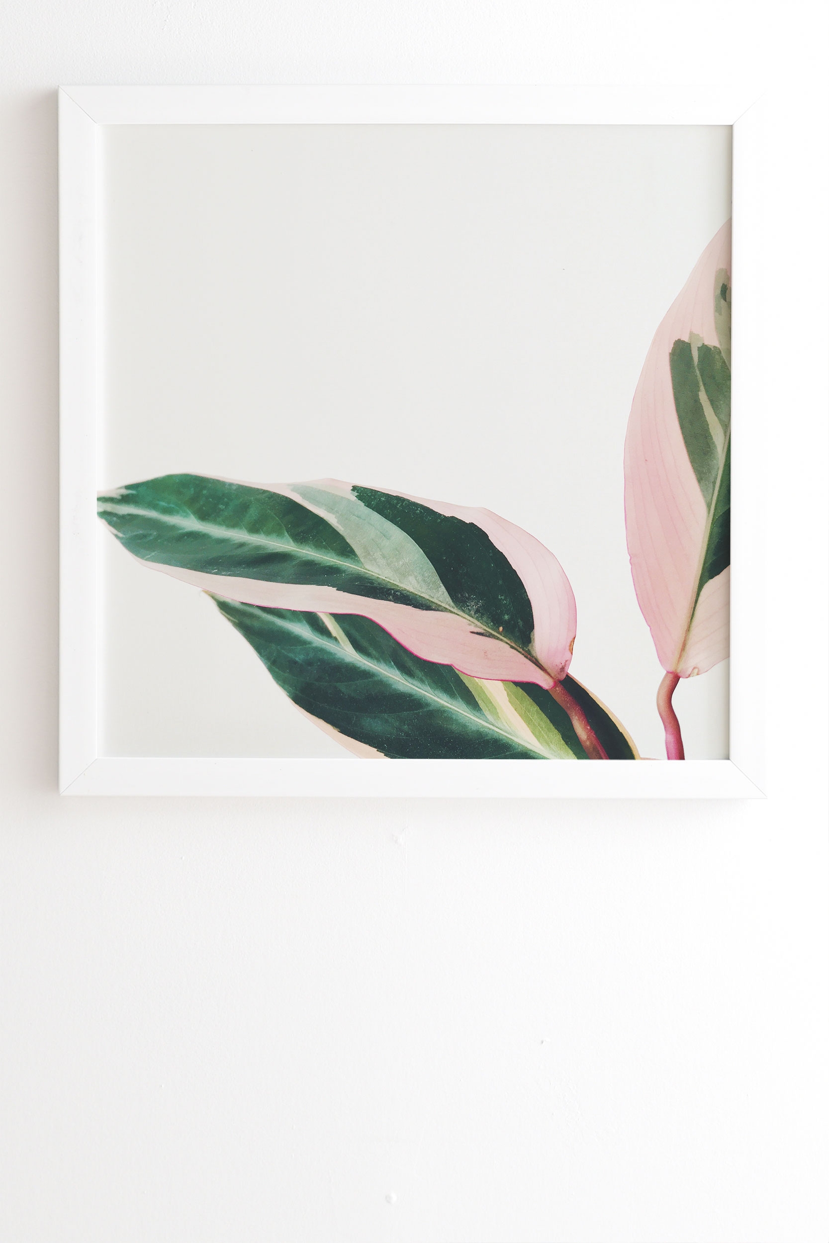 Pink Leaves Ii by Cassia Beck - Framed Wall Art Basic White 20" x 20" - Image 1