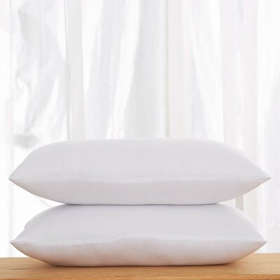 Lumbar Pillow Insert - Image 0