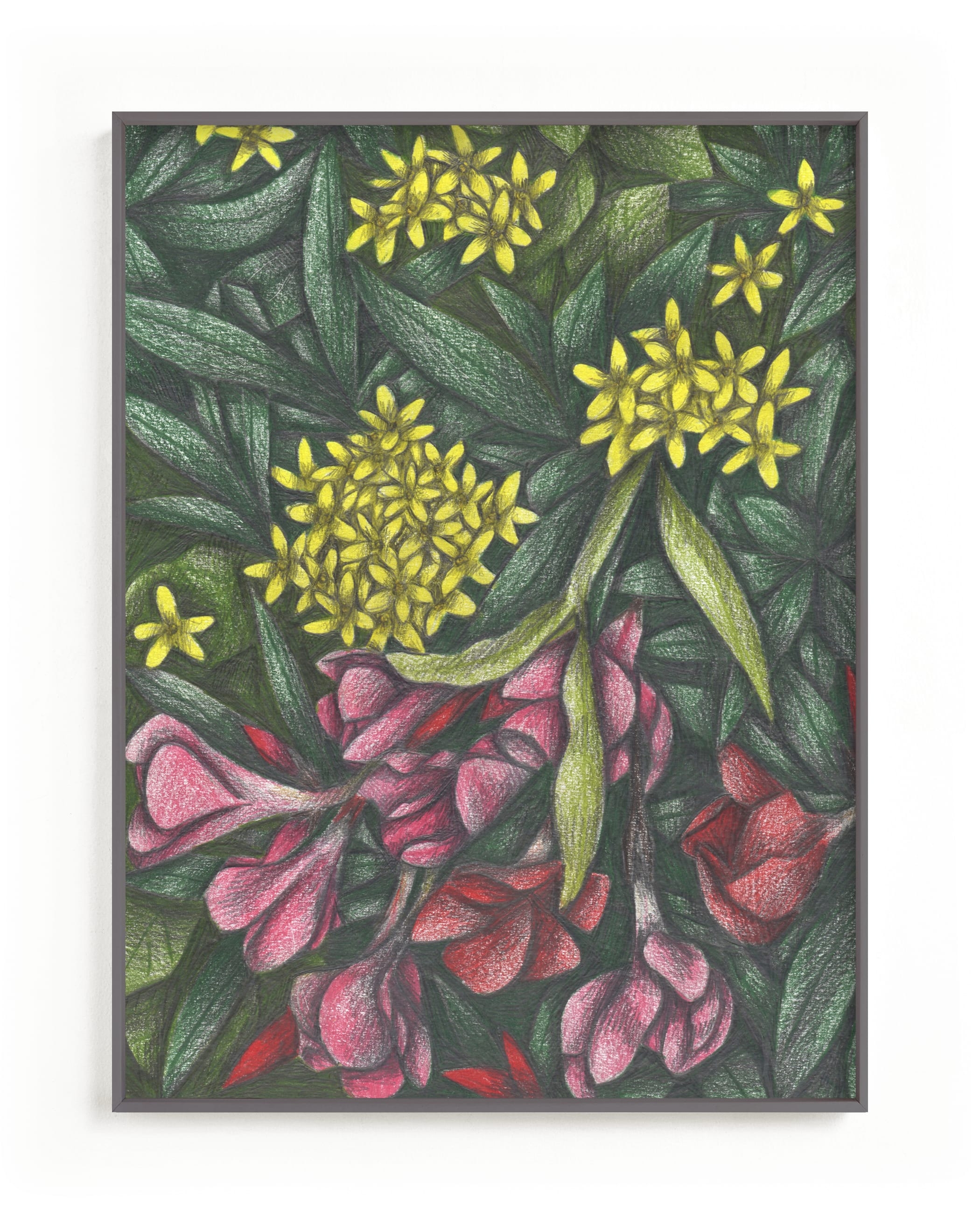 Mediterranean Bush Limited Edition Fine Art Print 2 - Image 0