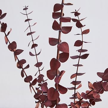 Eucalyptus Bundle, Baby, Red - Image 1
