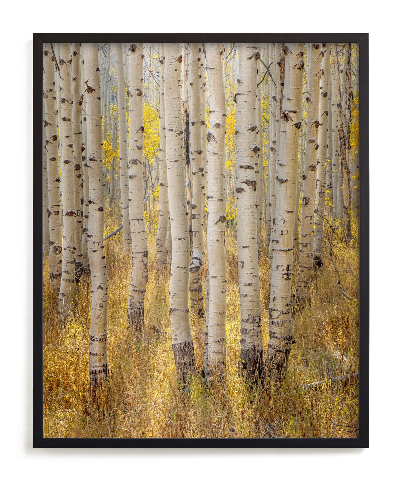 Filtered Light Limited Edition Fine Art Print 2 - Image 0