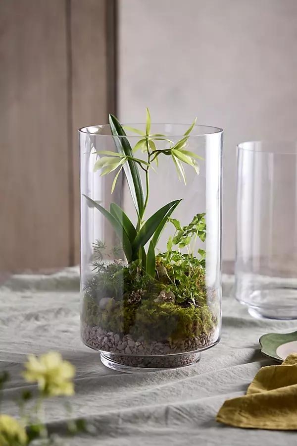 Glass Cylinder Terrarium - Image 0