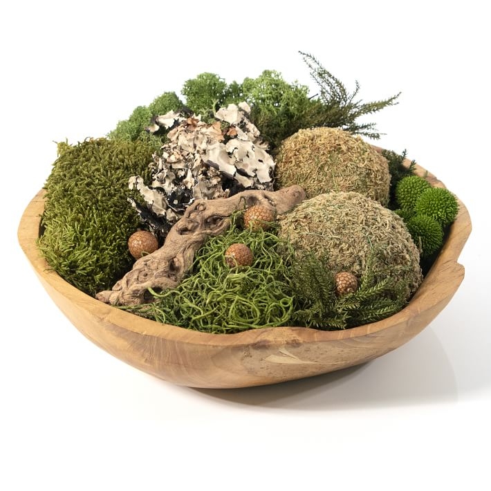 Round Moss Bowl - Image 1