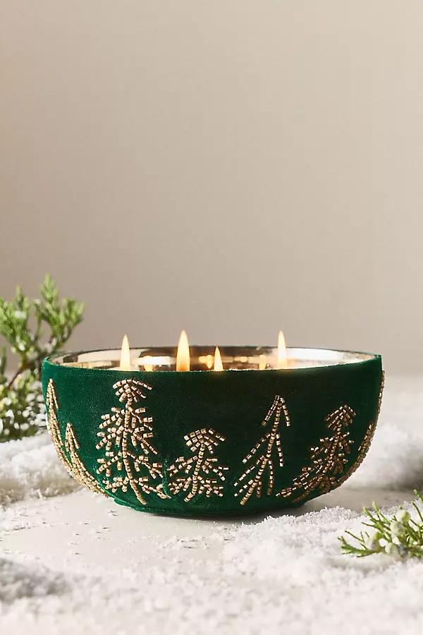 Velvet Forest Woody Juniper & Cedar Glass Candle - Image 0
