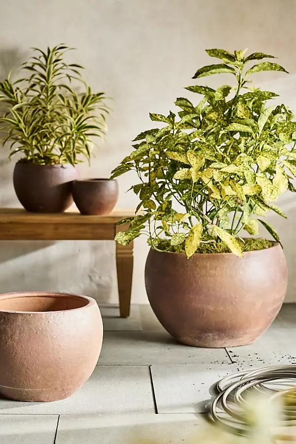 Terracotta Globe Planter - Image 0