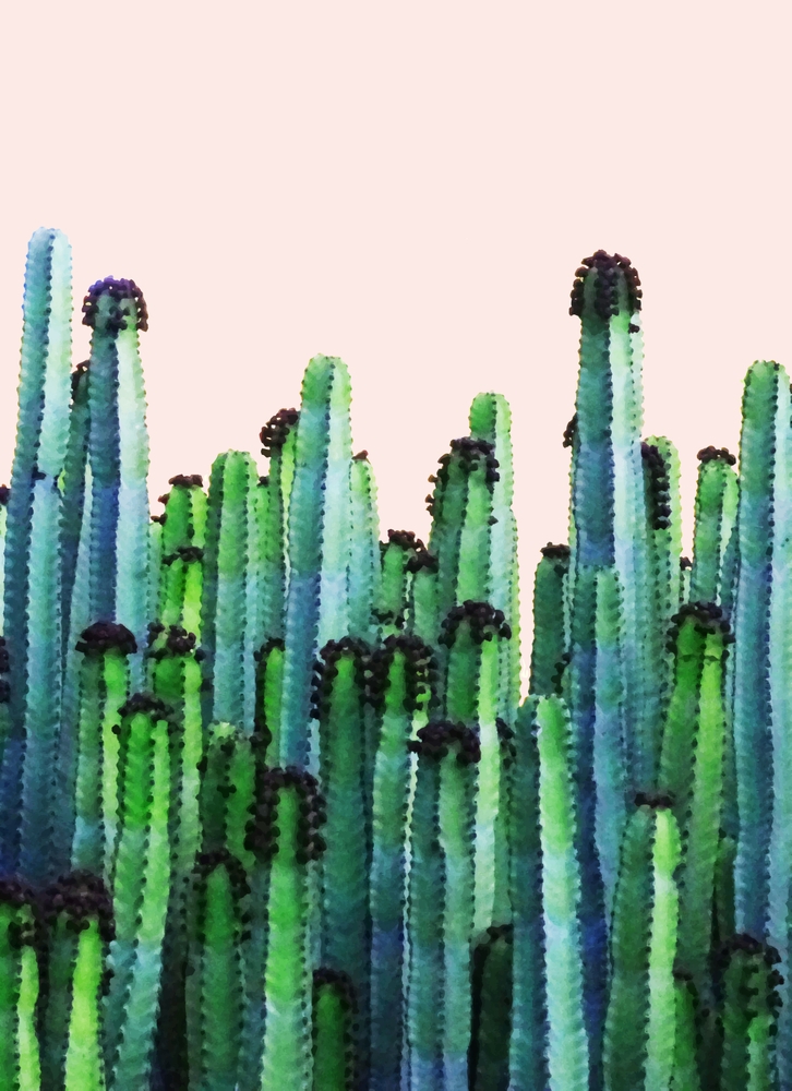 Cactus Botanical, Nature Plants Blush Painting, Pastel Neutral Peachy Scandinavian Bohemian Graphic Framed Art Print by 83 Oranges Free Spirits - Scoop Black - Small 13" x 19"-15x21 - Image 1