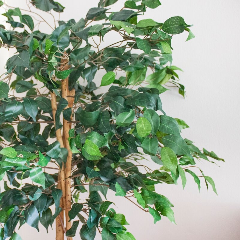 Artificial Ficus Tree in Planter, 60" - Image 7