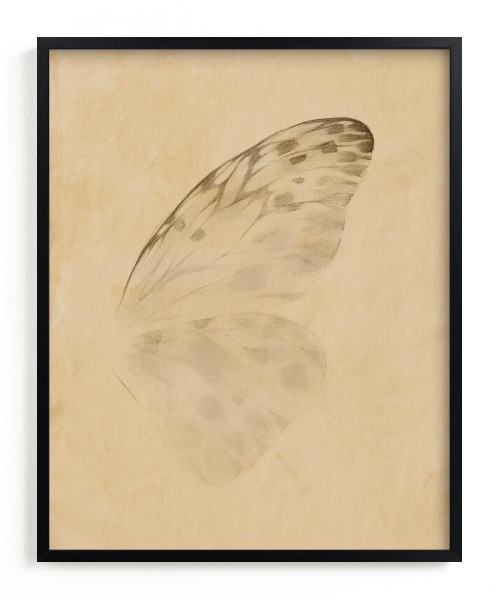 Vintage Mariposa II Limited Edition Fine Art Print 2 - Image 0