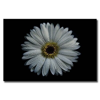 'Backyard Flowers 71 ' - Photographic Print On Wrapped Canvas - Image 0
