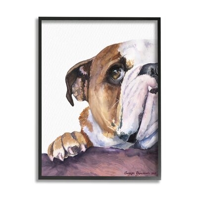 Curious English Bulldog Gaze Pet Dog Portrait - Image 0