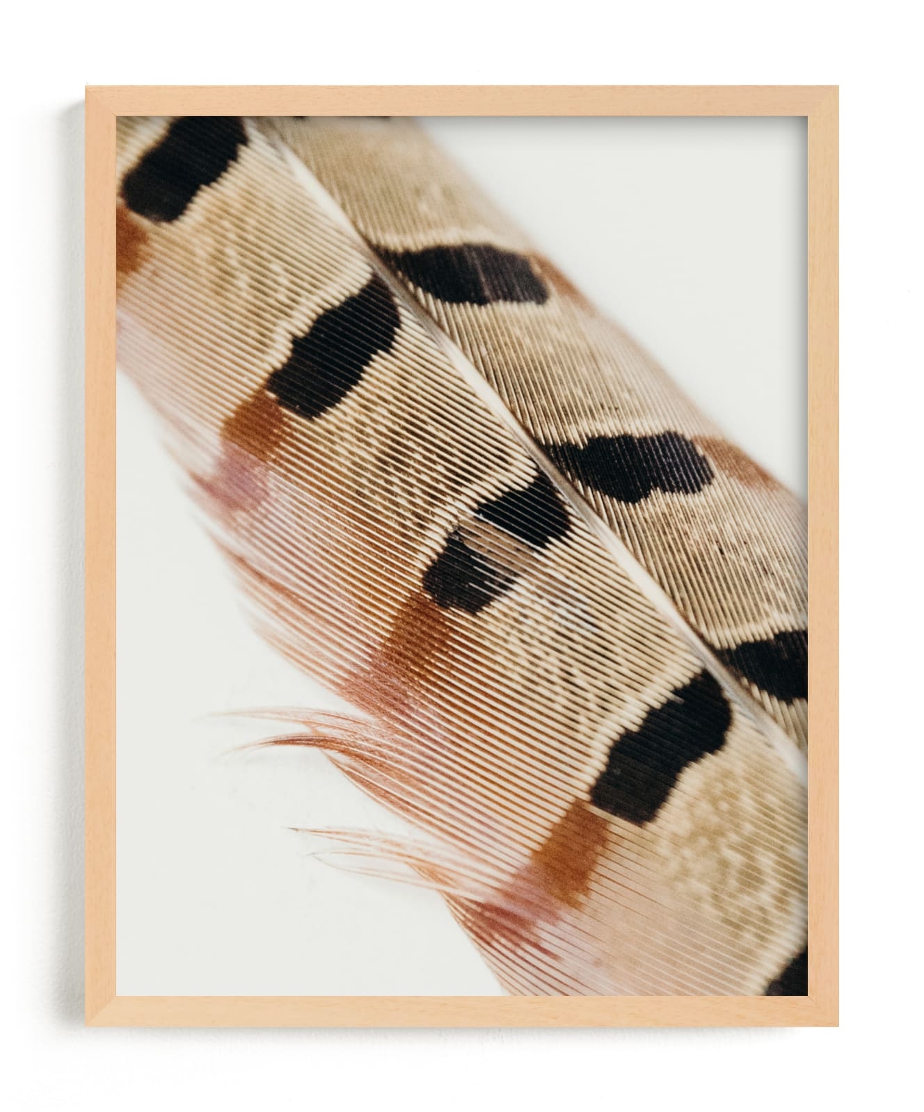 Feather Study I Limited Edition Fine Art Print 2 - Image 0