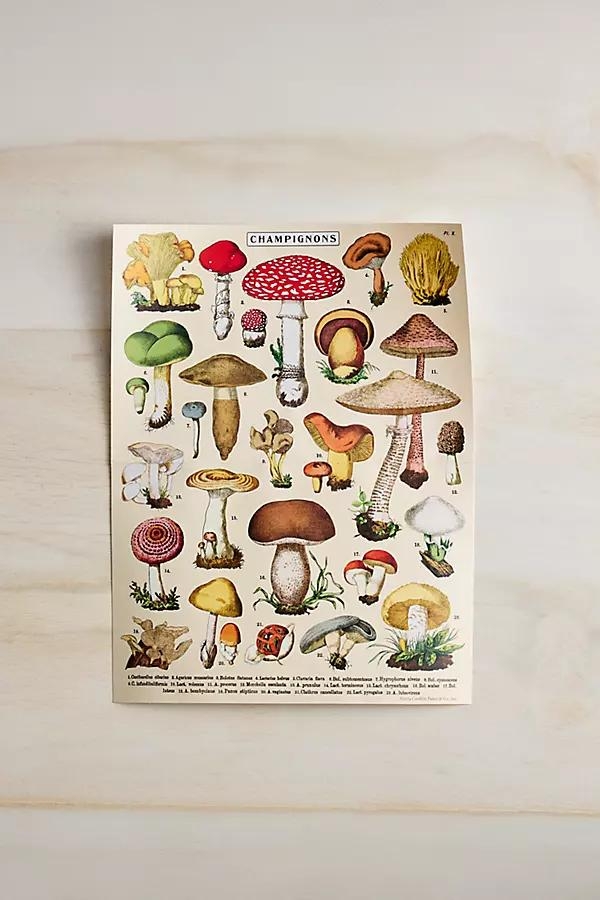 Vintage Mushrooms Mini Puzzle - Image 0
