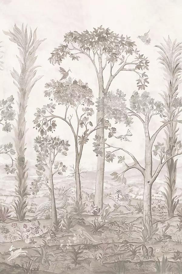 Tall Trees Wallpaper - Image 0