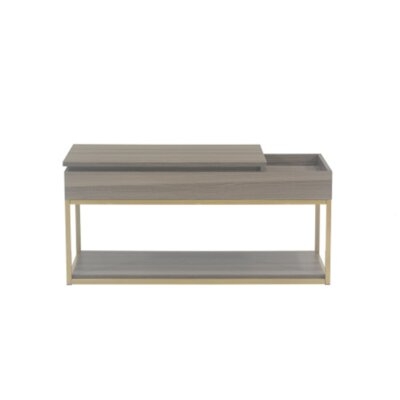 Heisey Lift Top Coffee Table - Image 0