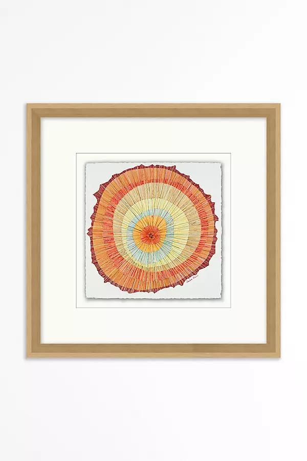 Ring Around Color Wall Art - Image 0