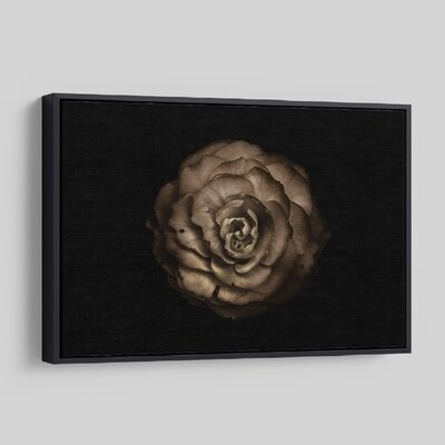'Backyard Flowers 85' - Photographic Print On Wrapped Canvas - Image 0