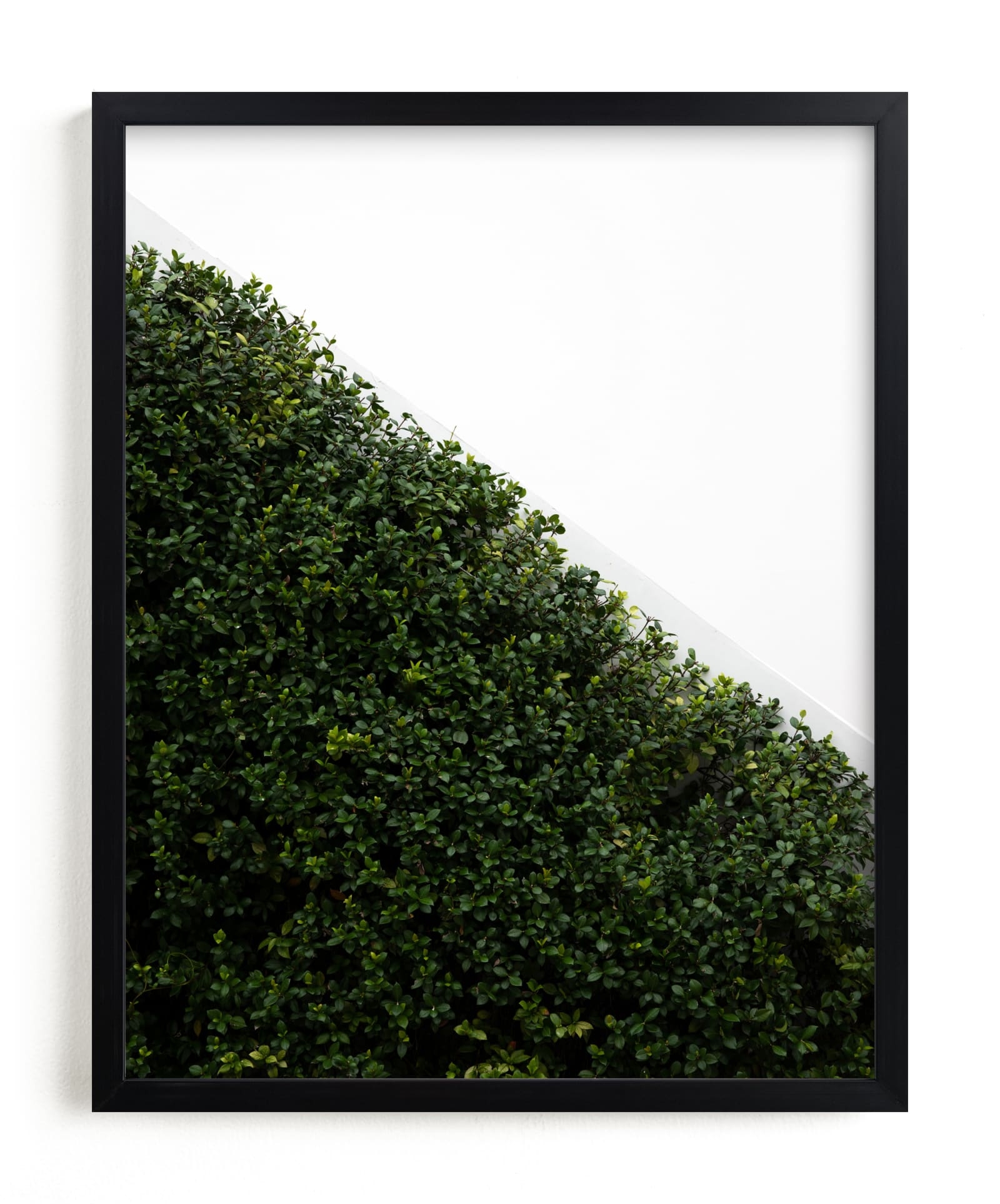 Verdant Garden I Limited Edition Fine Art Print 2 - Image 0