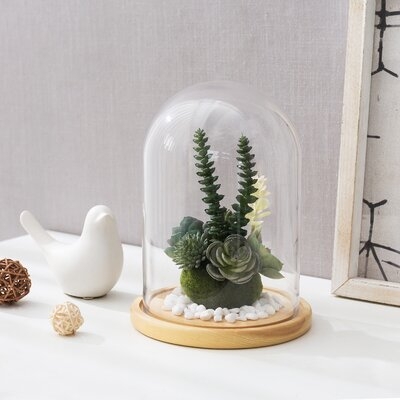 9" Cloche Dome Bell Jar With Wood Base - Image 0