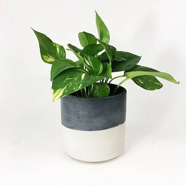 Straight-Sided Concrete Pot, Small, Dark Gray Two Tone - Image 1