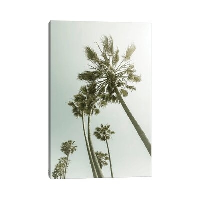 Vintage Palm Trees In The Sun by Melanie Viola - Wrapped Canvas Gallery-Wrapped Canvas Giclée - Image 0