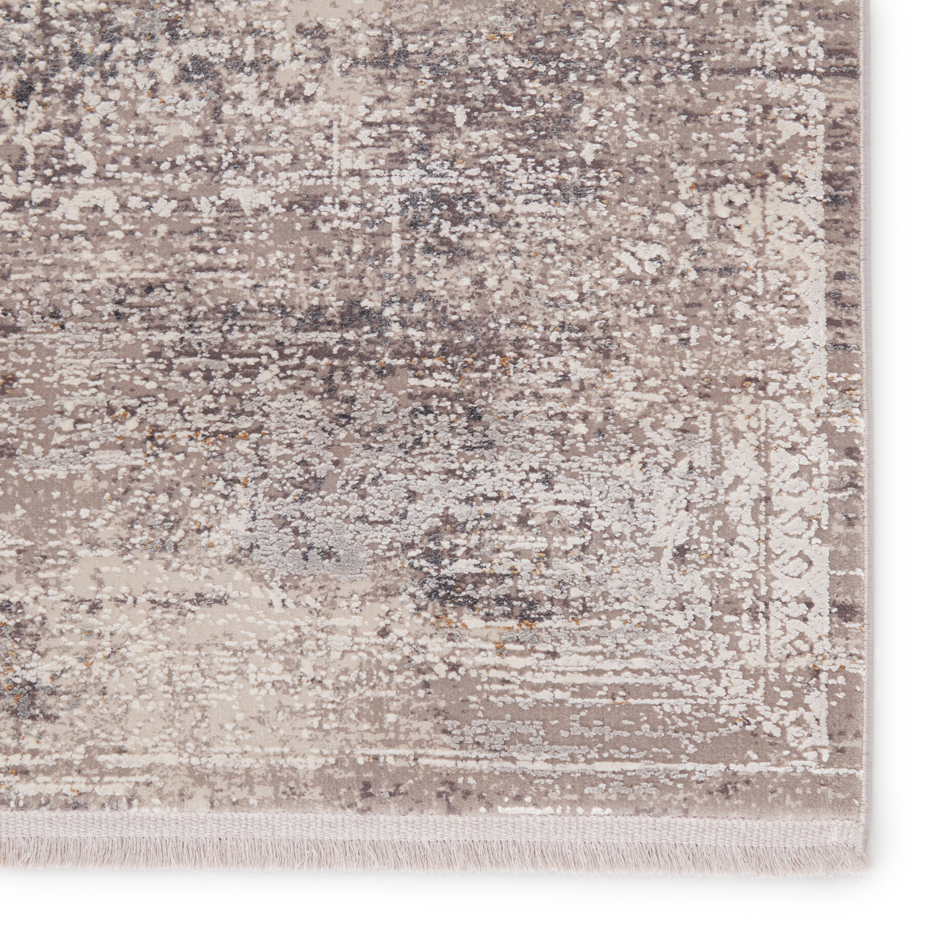 Aster Oriental Gray/ White Area Rug (9'X13') - Image 3