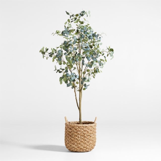 Faux Silver Dollar Eucalyptus Tree 8' - Image 1