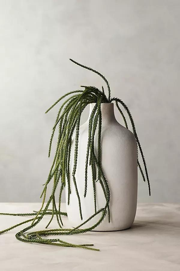 Faux Trailing Succulent - Image 0