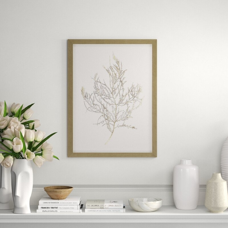 Paragon Gold Foil Algae III by Goldberger - Picture Frame Graphic Art Print on Paper - Image 0