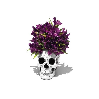 Skull & Lilies Black & White by Jonathan Brooks - Gallery-Wrapped Canvas Giclée - Image 0