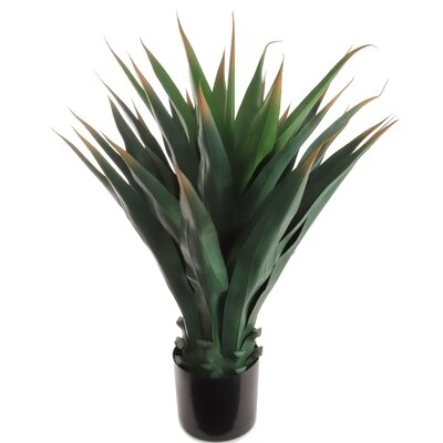 38'' Artificial Succulent Plant in Pot - Image 0