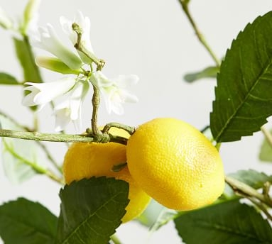 Faux Citrus Branch, Lemon - Image 1