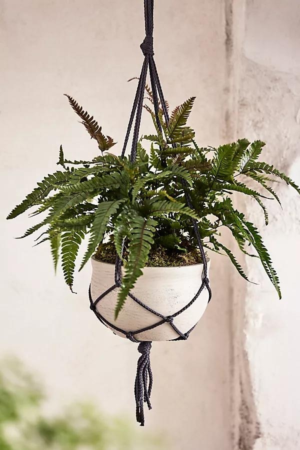 Hanging Round Cement Planter - Image 0