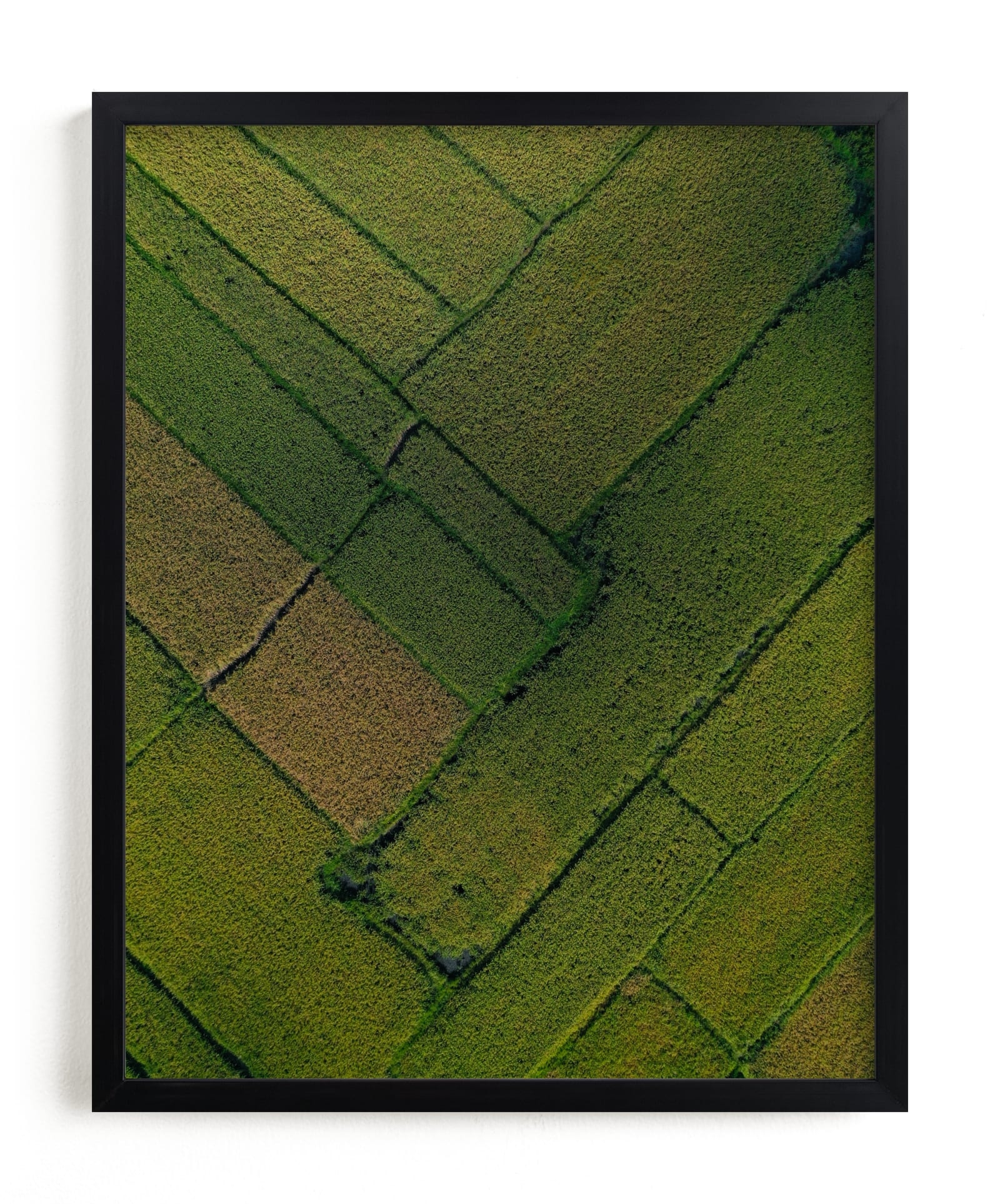 Above The Paddy Limited Edition Fine Art Print 2 - Image 0