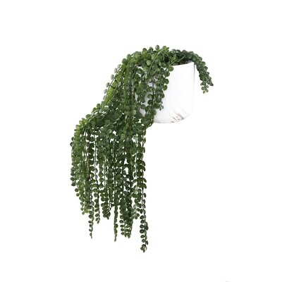 12.5'' Faux Succulent Plant in Pot - Image 0