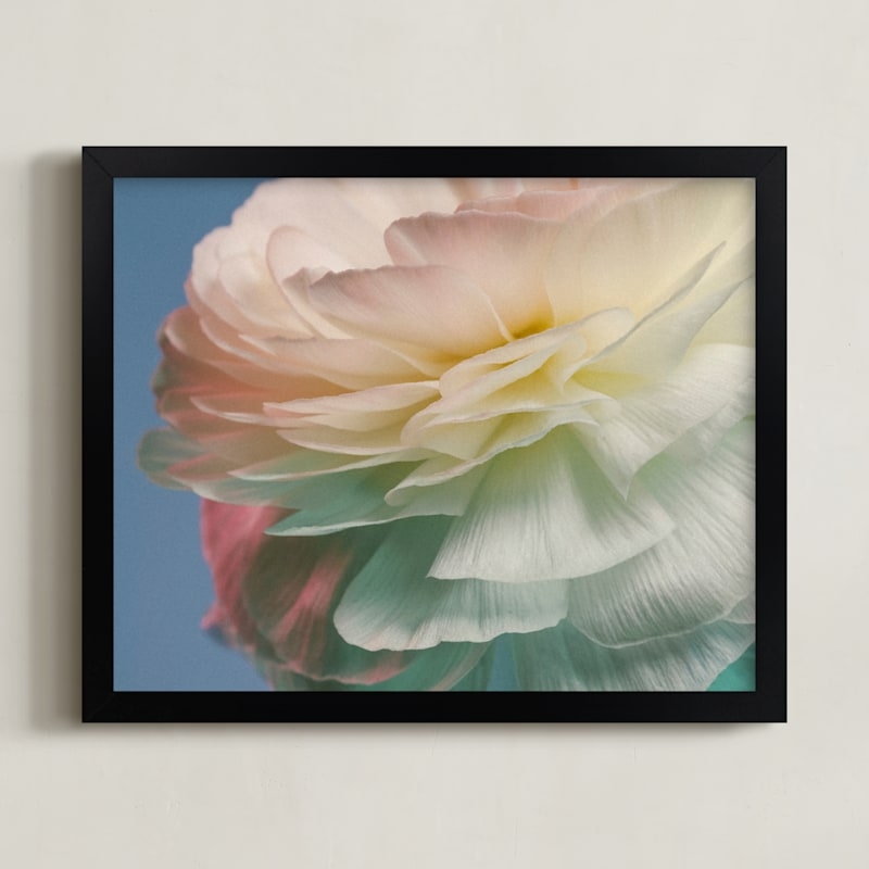Delicate Ranunculus Flower Limited Edition Fine Art Print 2 - Image 0