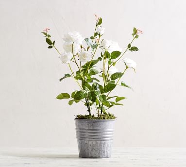 Faux Potted Roses, White - Small - Image 4
