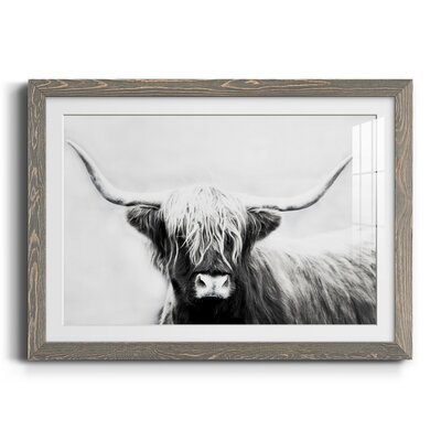 Highland Longhorn - Picture Frame Print on Paper - Image 0
