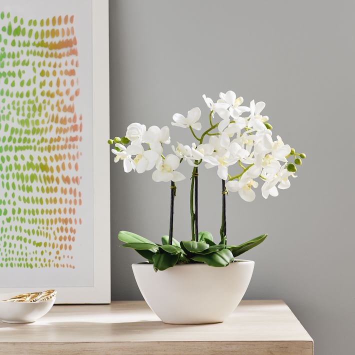Faux Potted Orchid Arrangement - Image 1