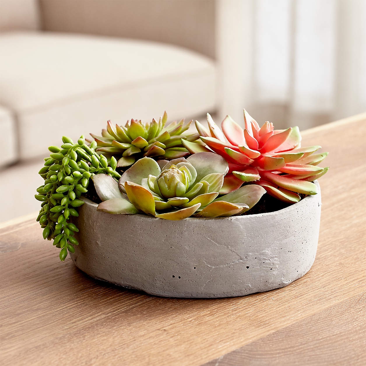Faux Succulents in Low Round Pot, Restock in mid august 2023. - Image 1